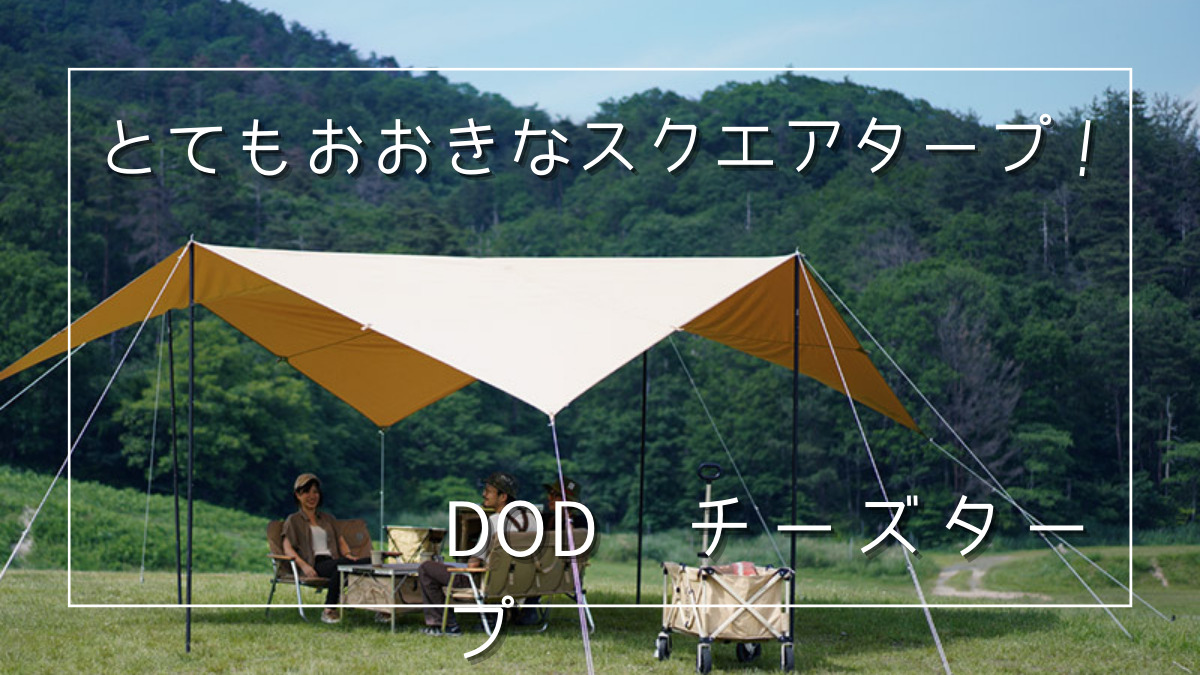 巨大！】正方形タープ「DODチーズタープ」レビュー | おじじとおちびの 