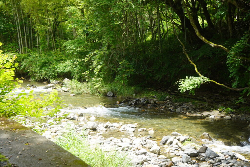 平野田休養村キャンプ場の川